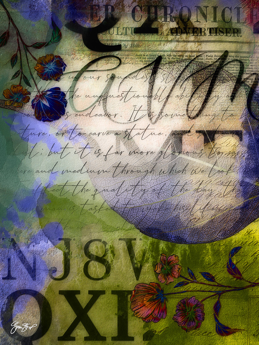 The Chronicle by Gina Startup