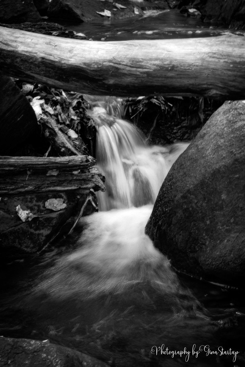 Flowing Waters by Gina Startup 