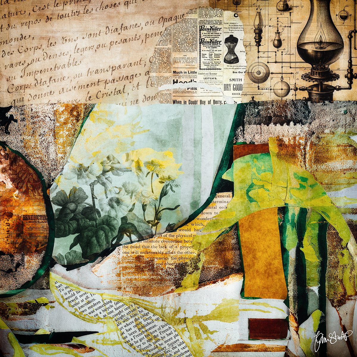 The Apothecary by Gina Startup 