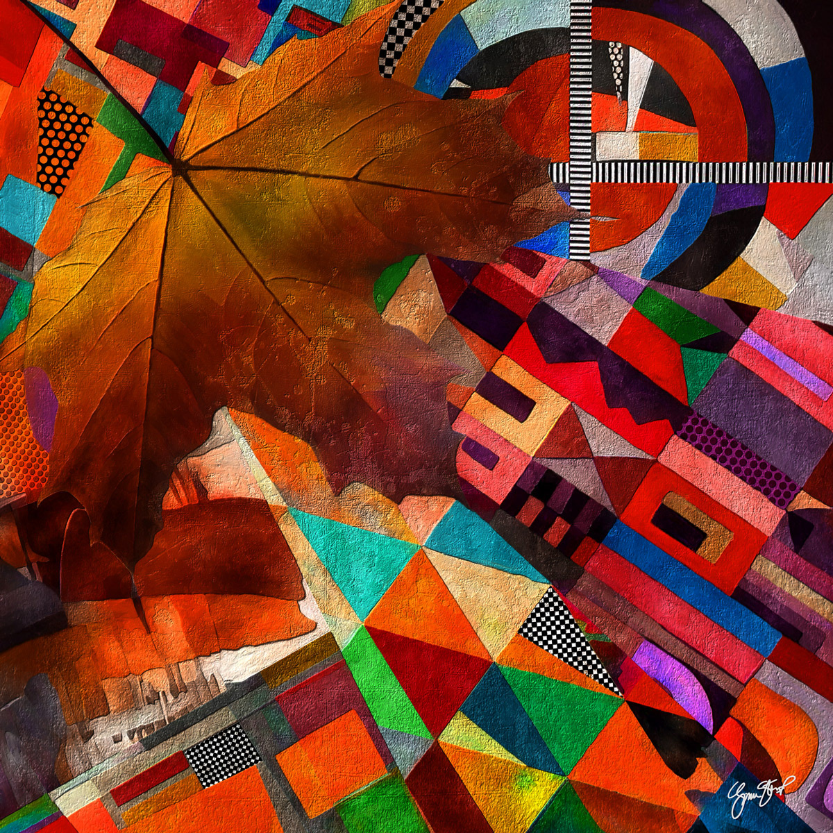 Forgotten Fragments by Gina Startup