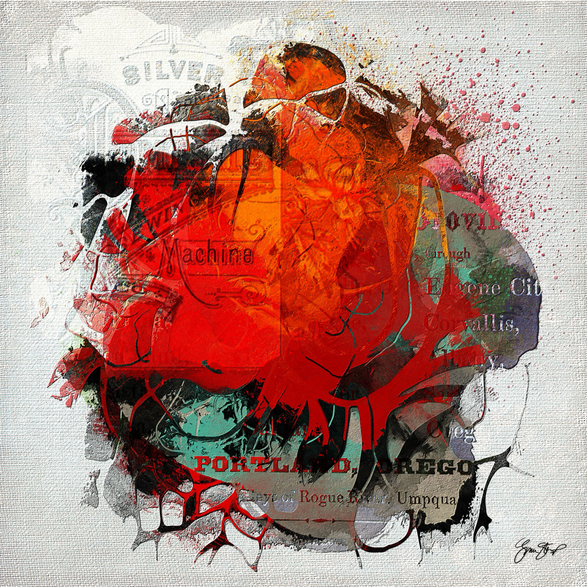 Orange Organic by Gina Startup