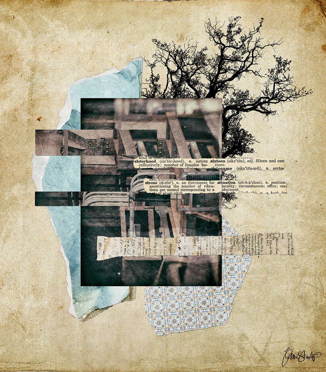 Solemn Situation by Gina Startup 