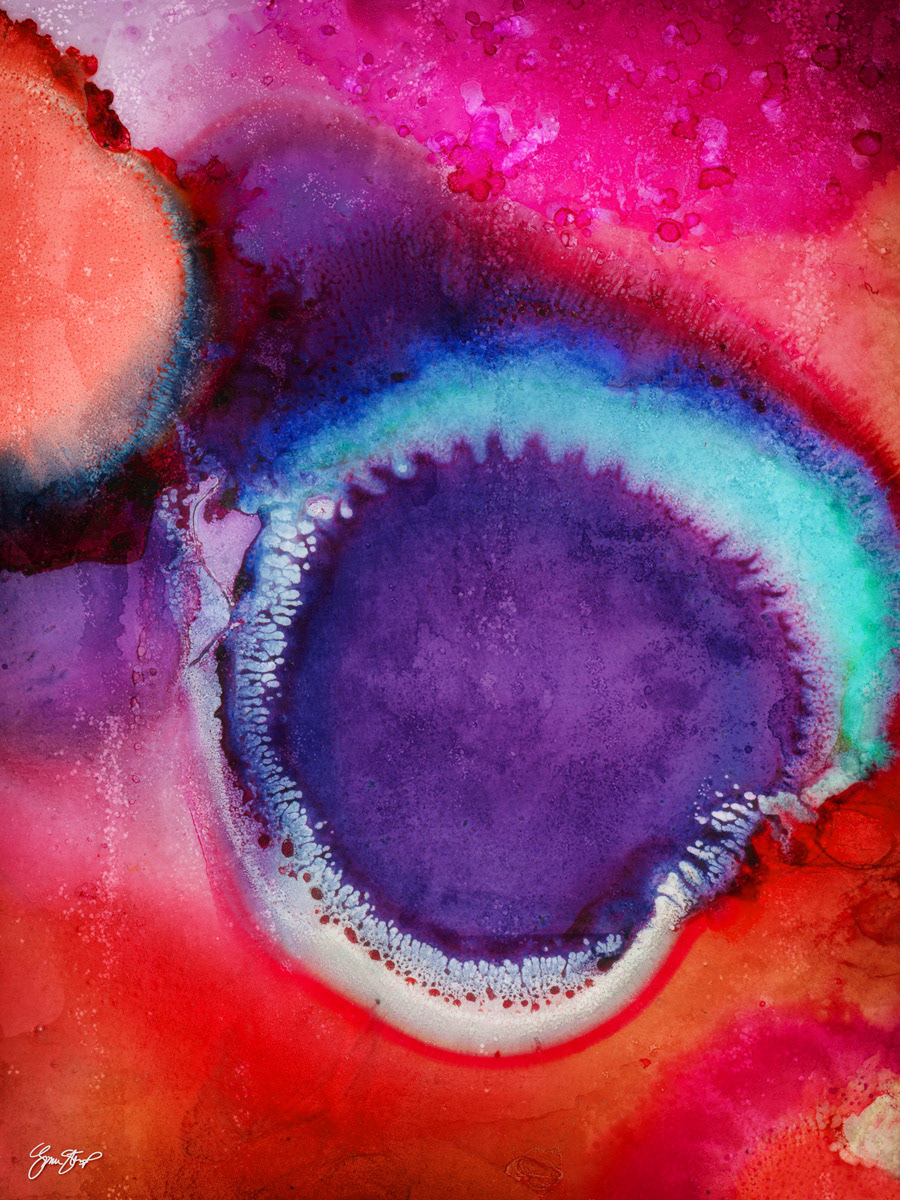 Magnifying Ink by Gina Startup