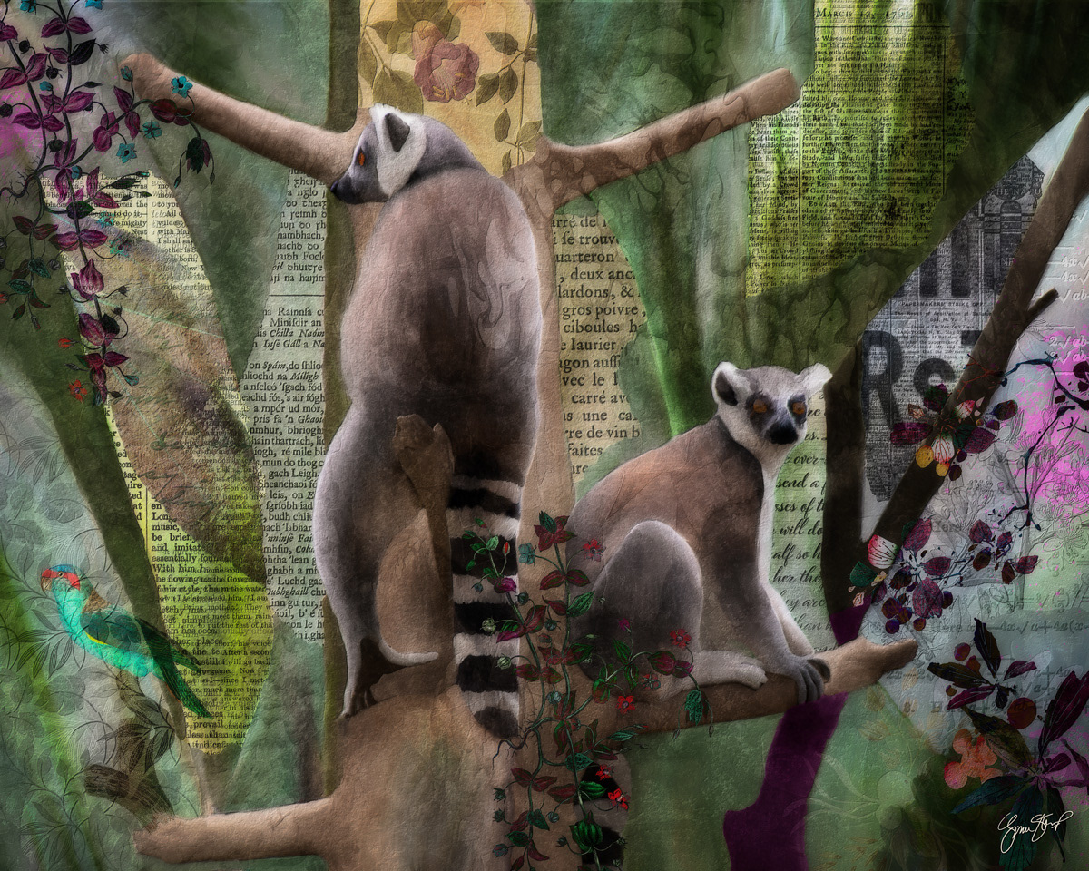 Ring Tailed Lemur Collage by Gina Startup 