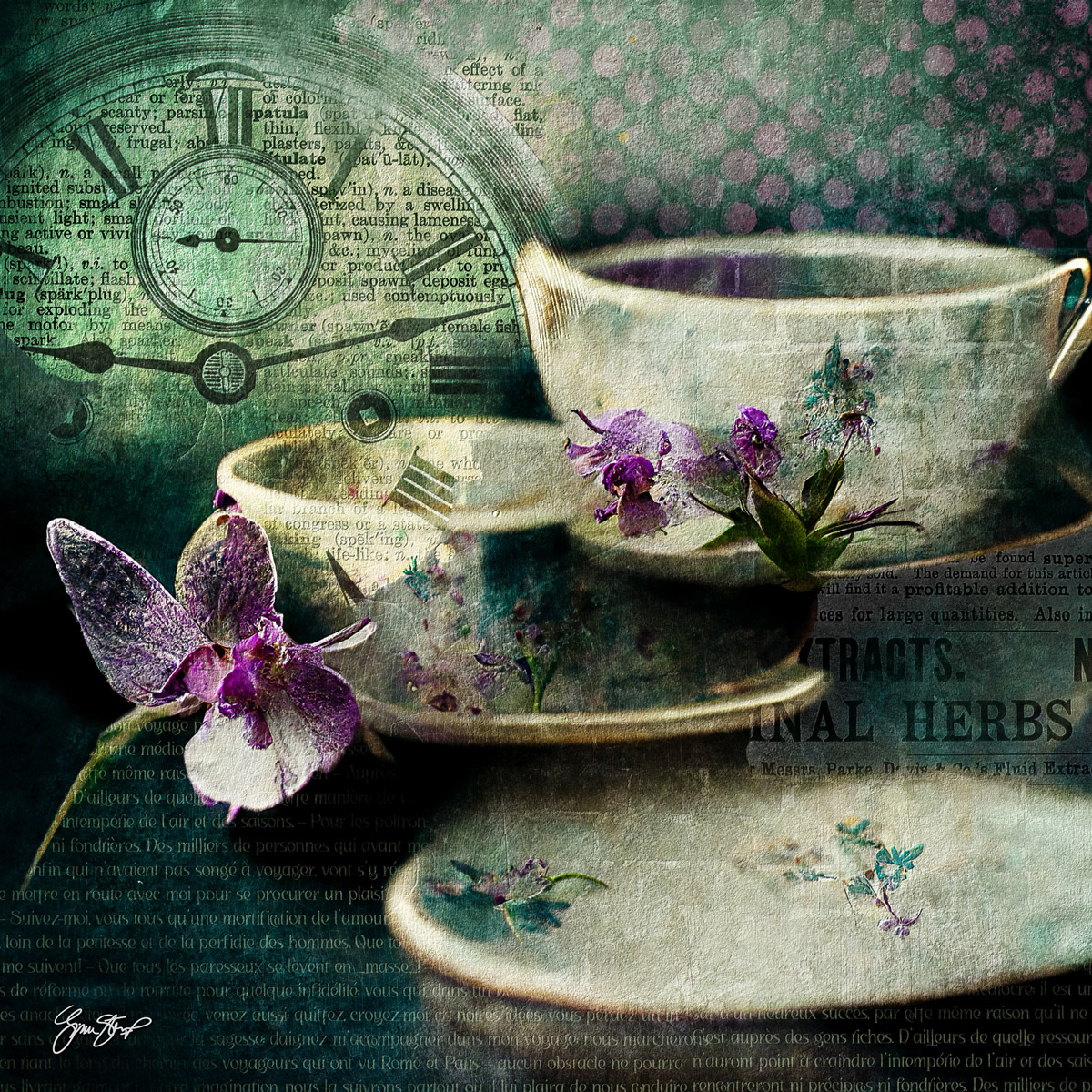 Teacups & Orchids by Gina Startup 