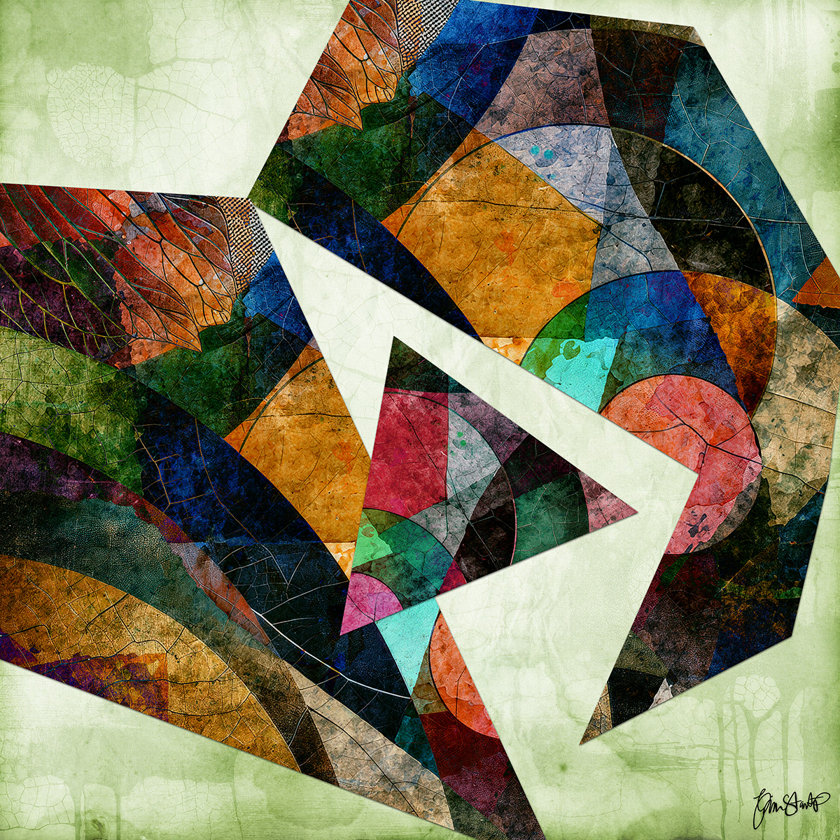 Intersection of Freedom by Gina Startup 