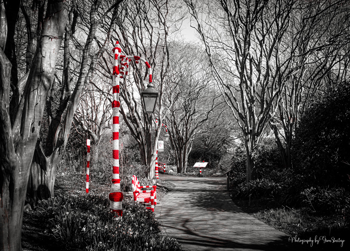 Where's Waldo by Gina Startup
