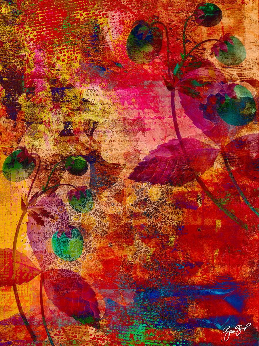 Strawberry Fields by Gina Startup