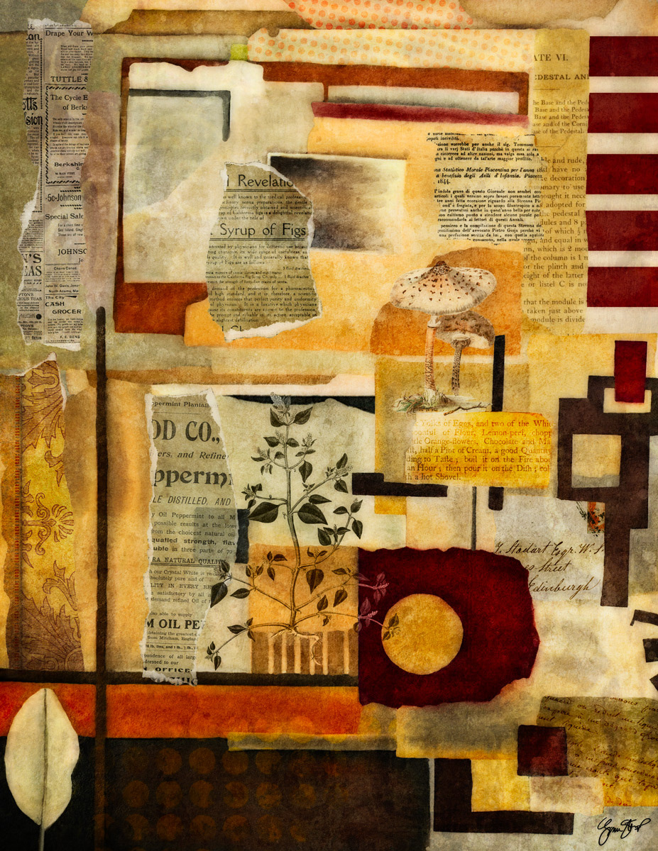 Peeling Wallpaper by Gina Startup