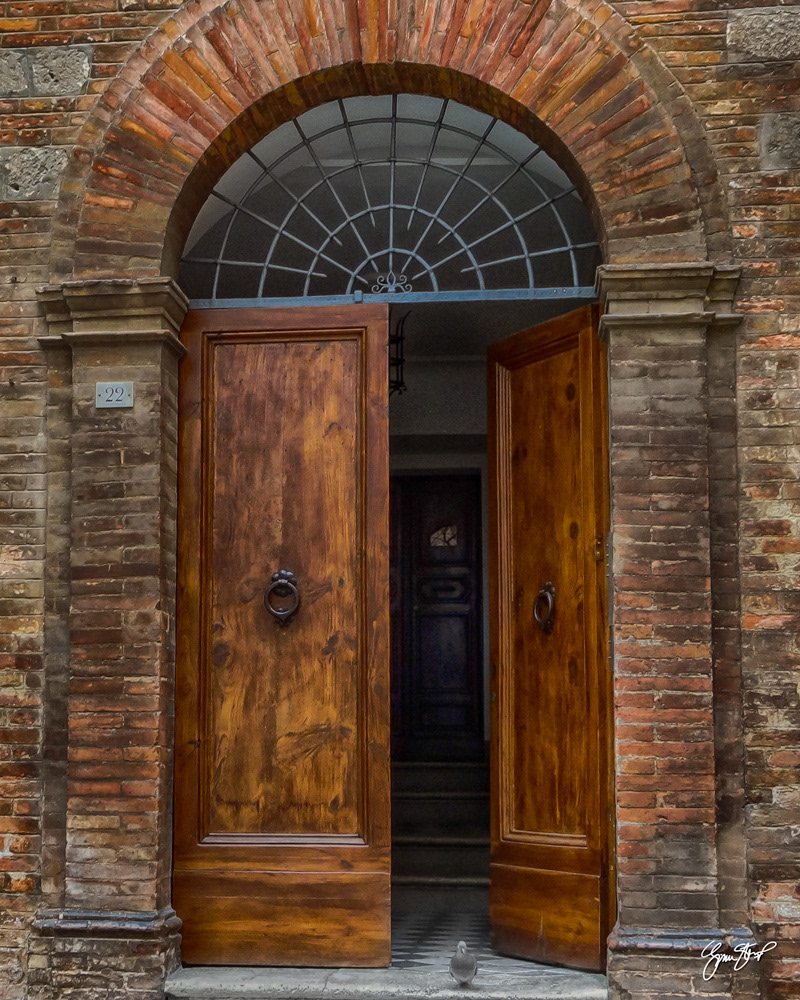 Pigeon at the Door