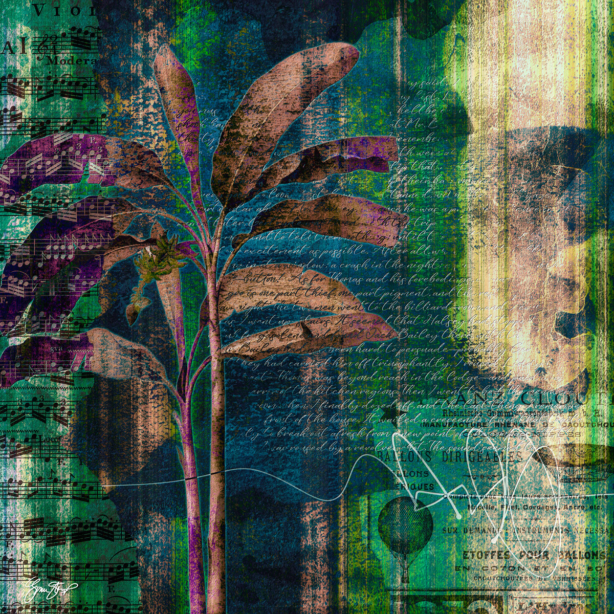 Lost in the Jungle by Gina Startup 