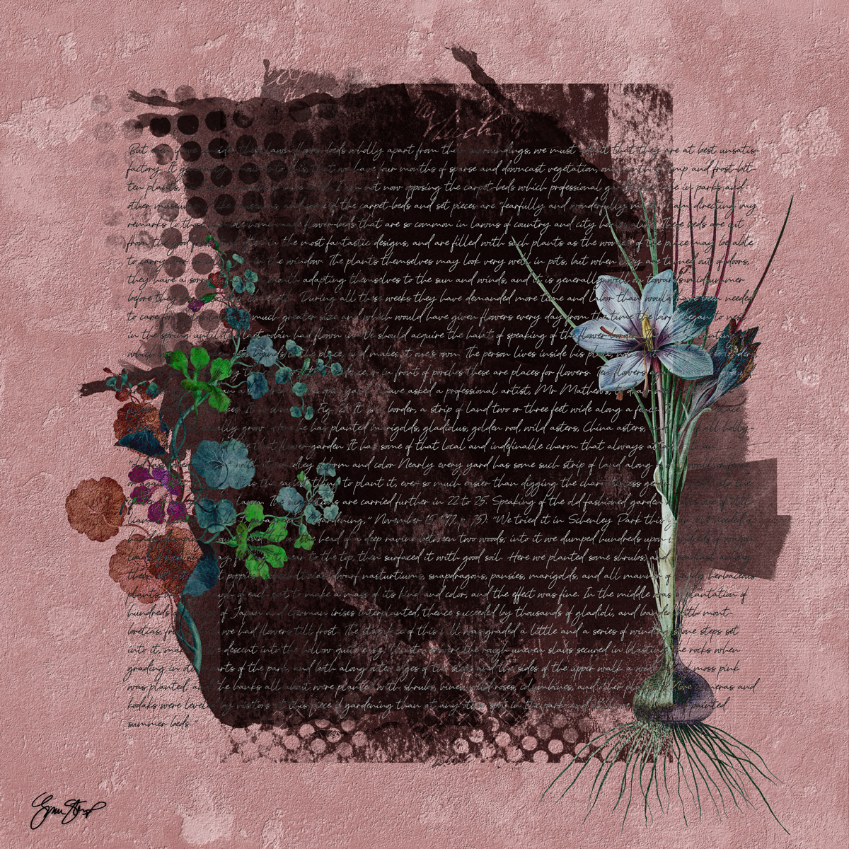 Dusty Rose Garden by Gina Startup 