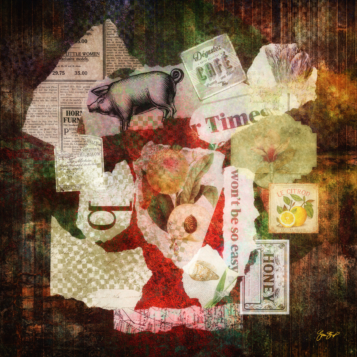 Closetful of Clippings by Gina Startup
