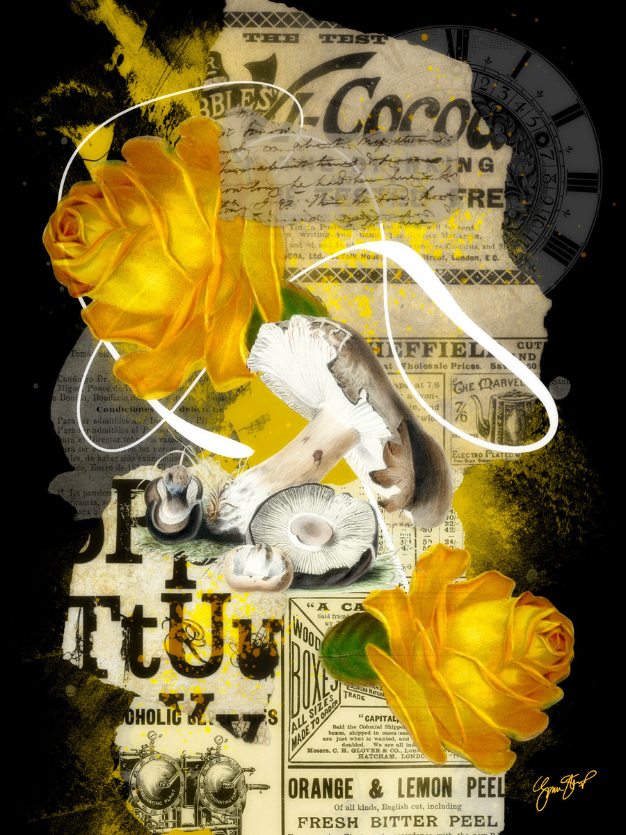 Two Yellow Roses by Gina Startup 