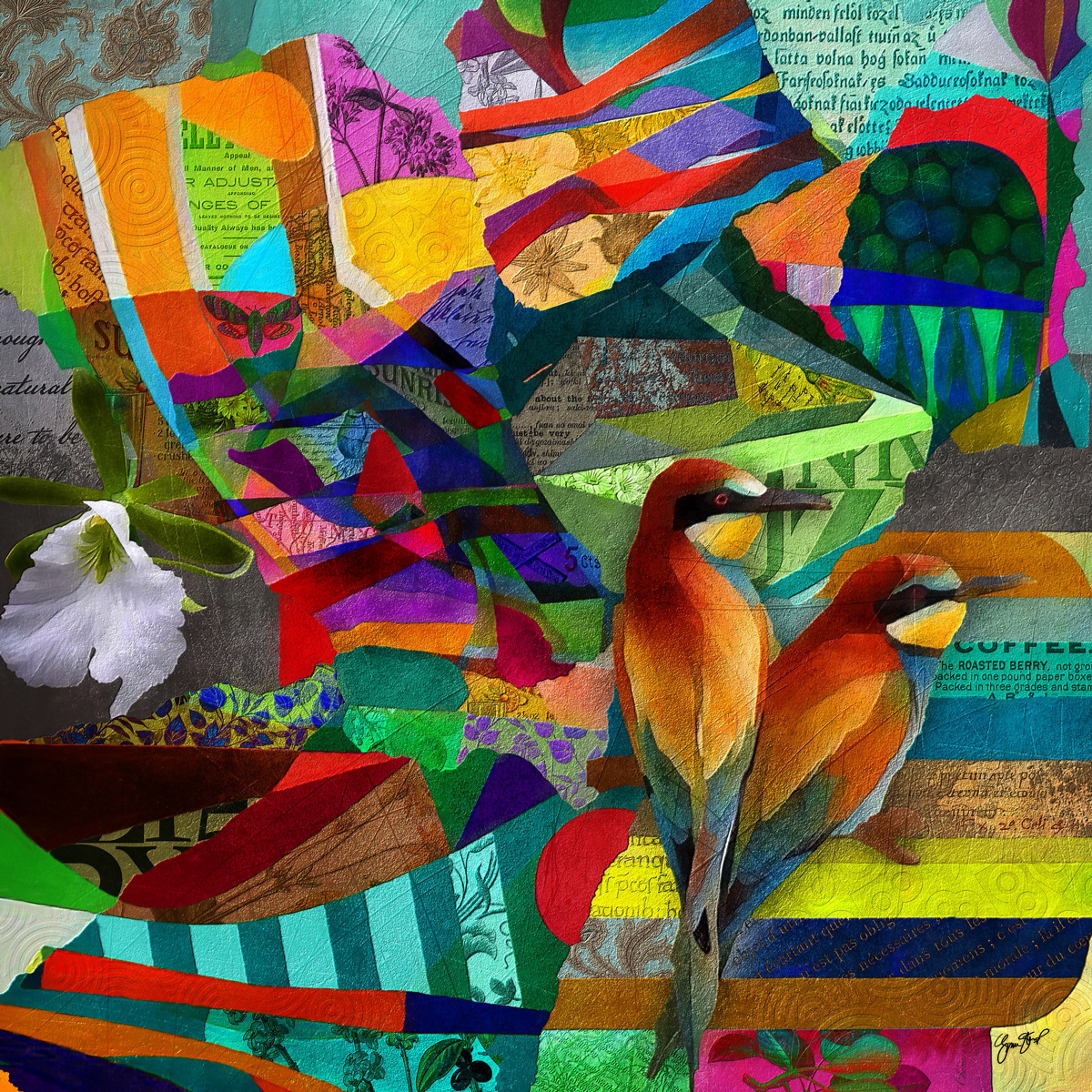 Birds of a Feather by Gina Startup