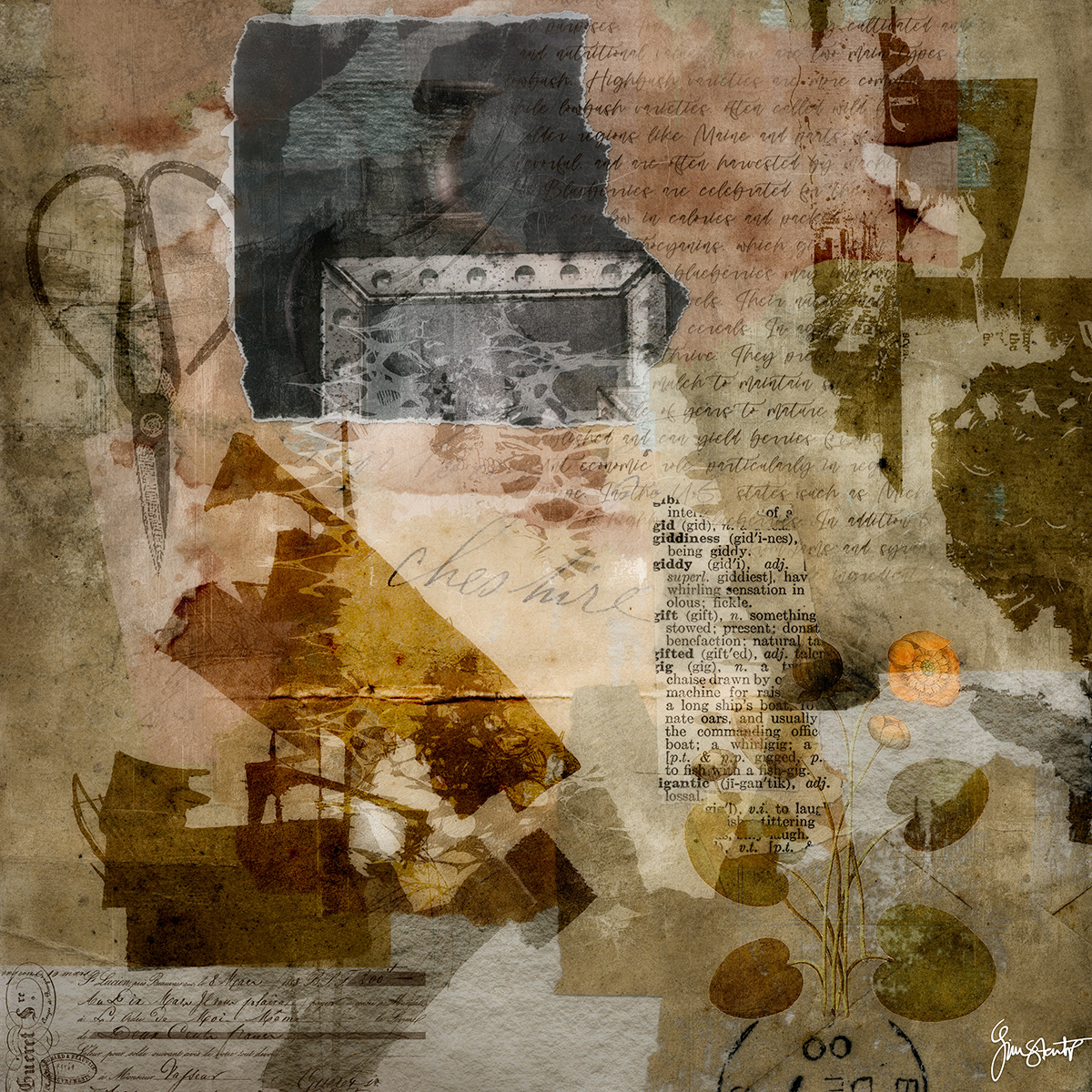 The Studio Wall by Gina Startup 