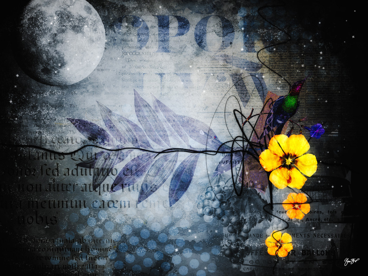Grey Moon by Gina Startup
