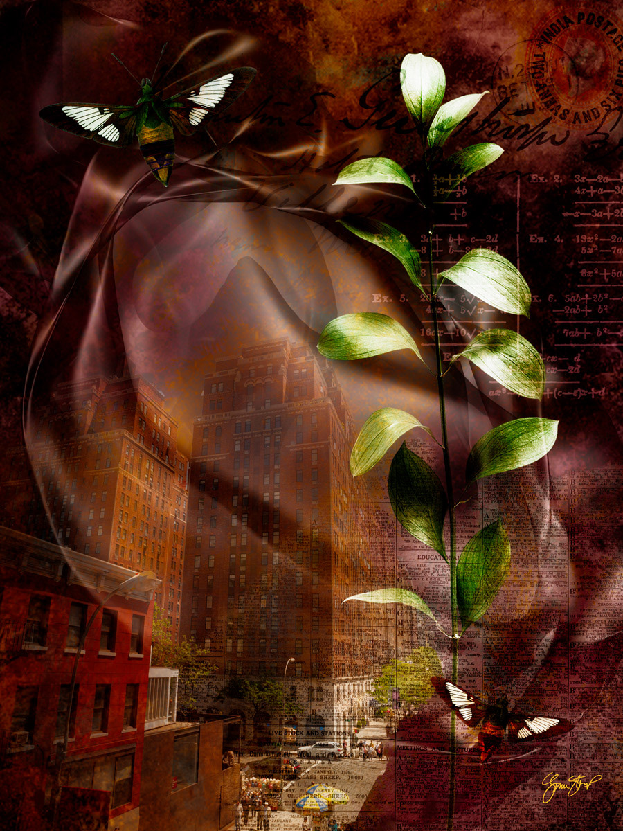 City Block by Gina Startup 