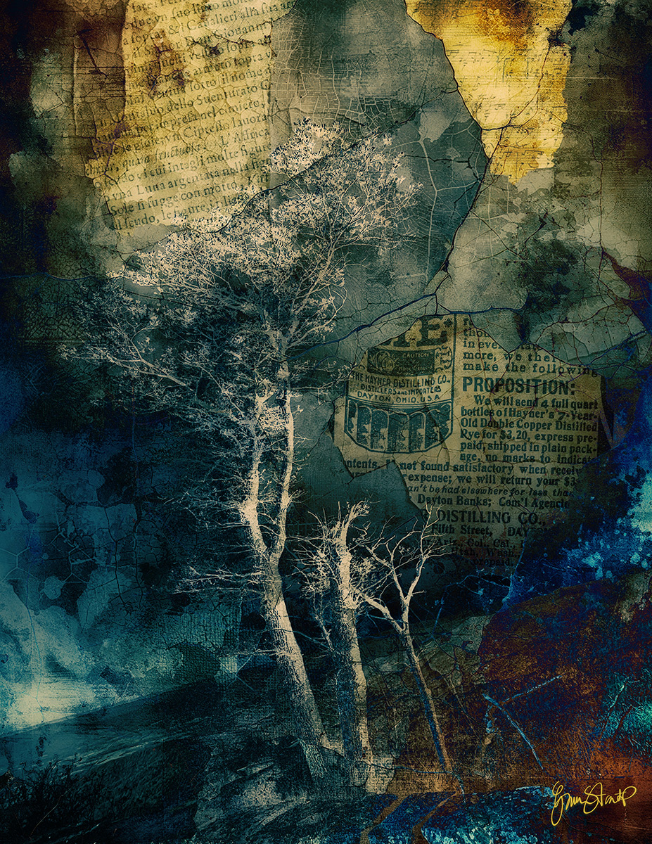Darkness Over Skyline Drive by Gina Startup