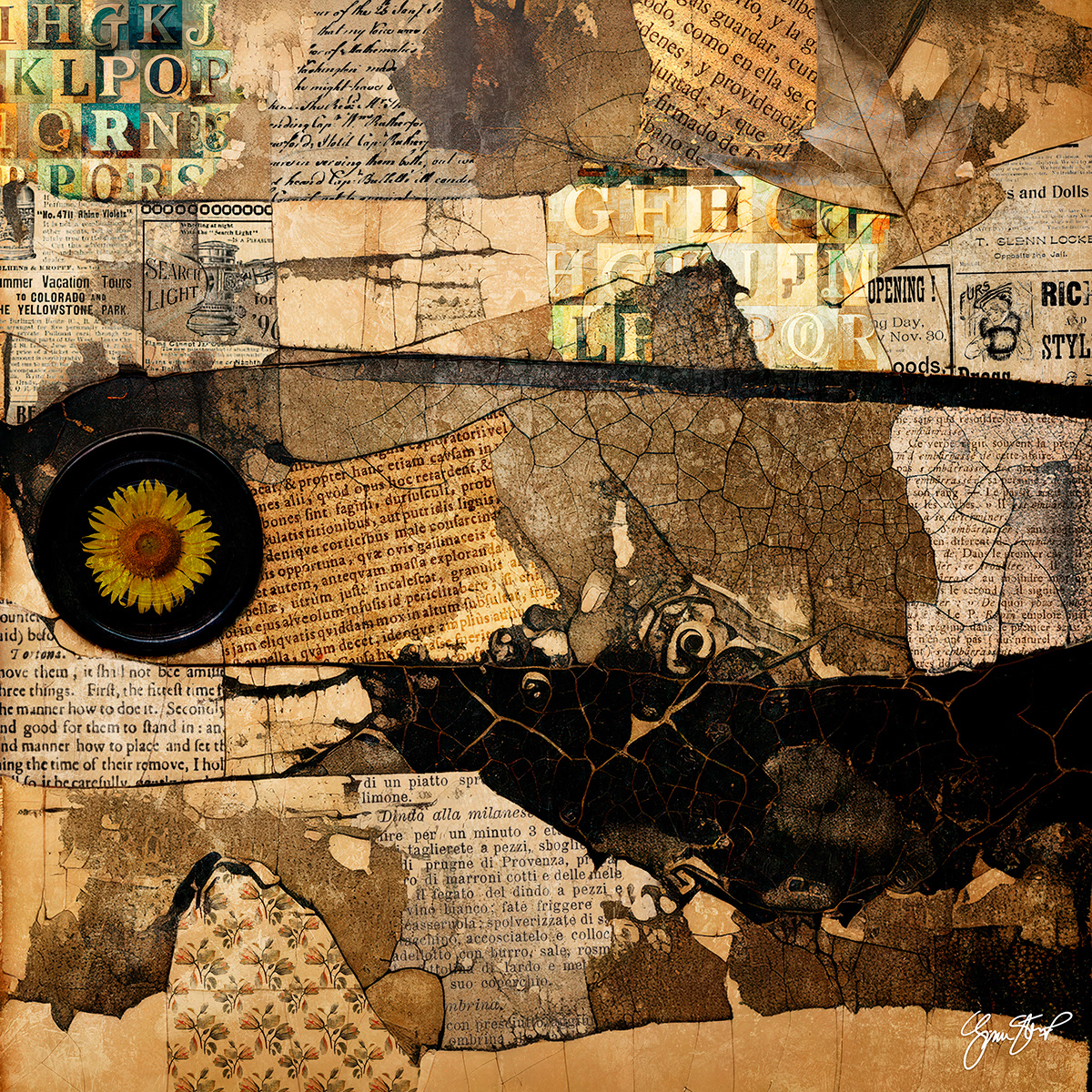 Lost in Black by Gina Startup 