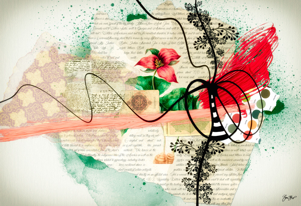 Mixed media collage by Gina Startup