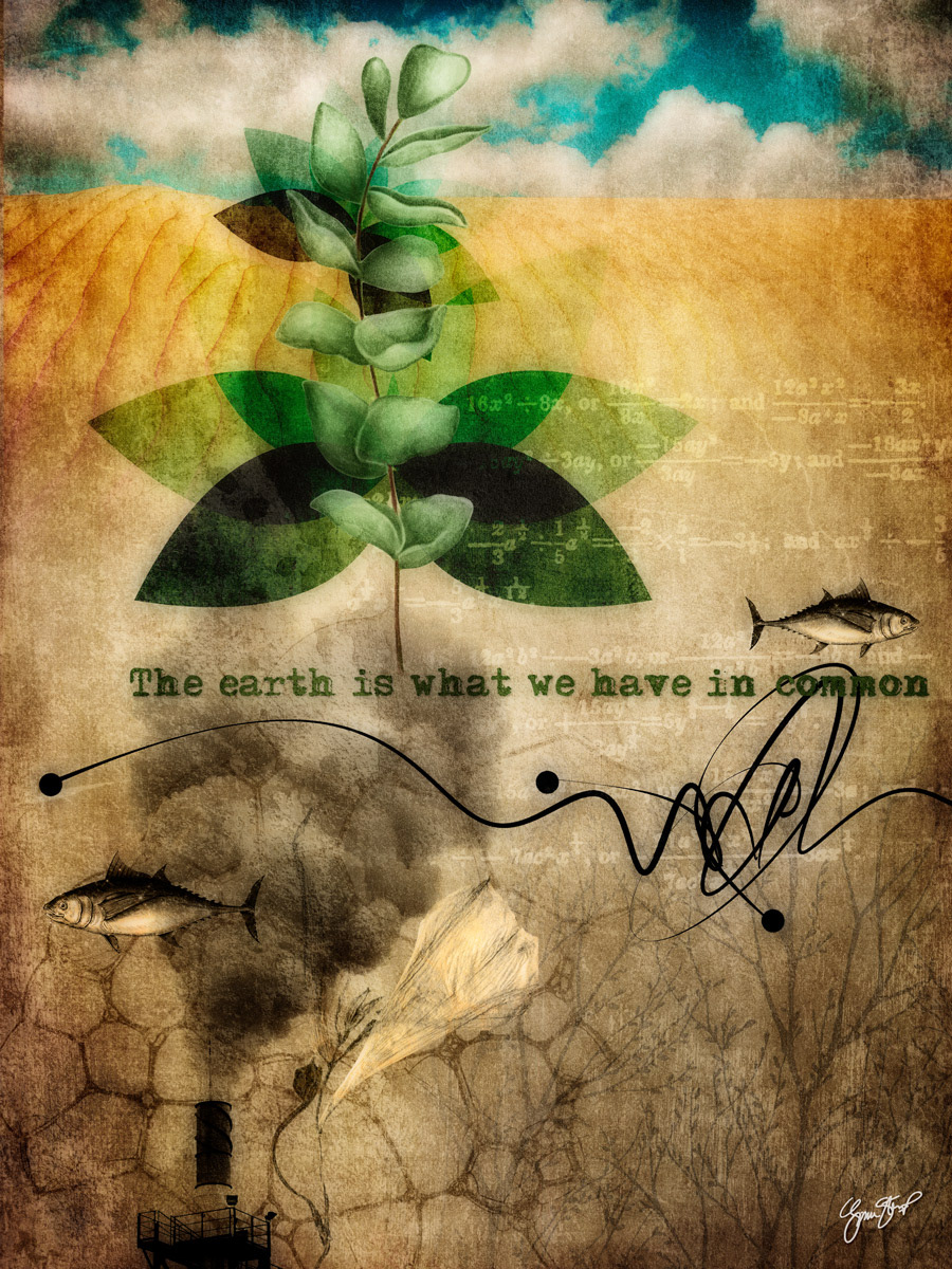 Renewal by Gina Startup 