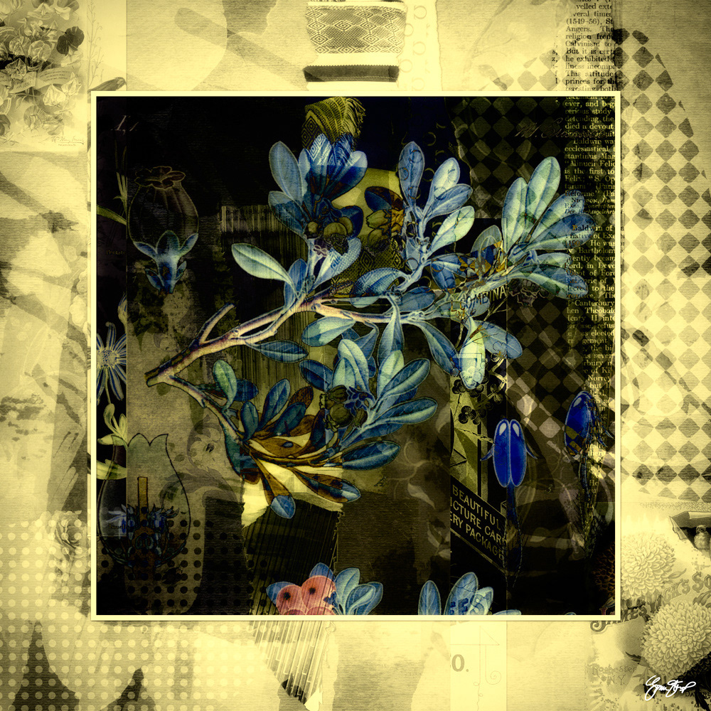 Mixed media Collage art by Gina Startup