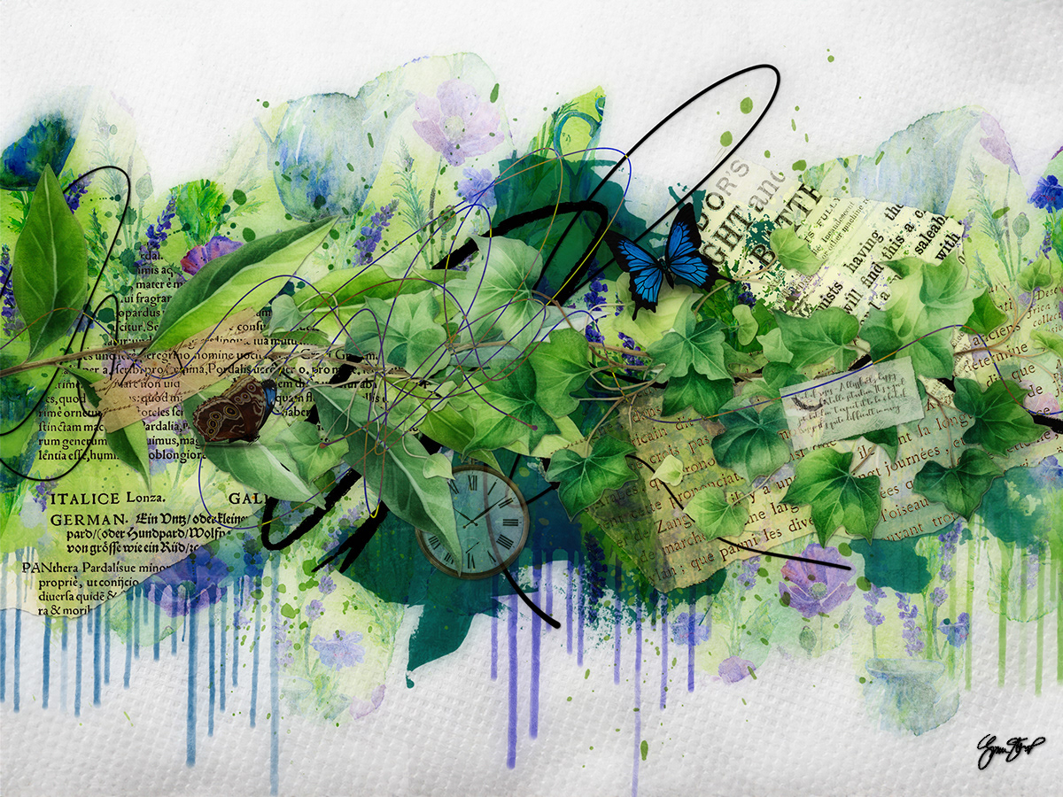 The Messy Garden