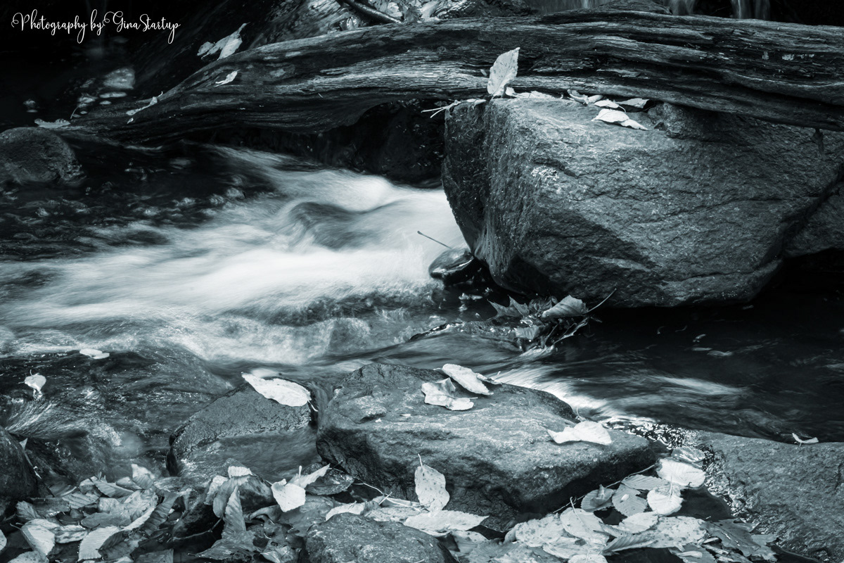 Photography by Gina Startup