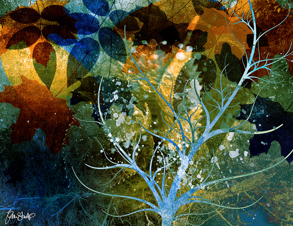 Autumn Night by Gina Startup 