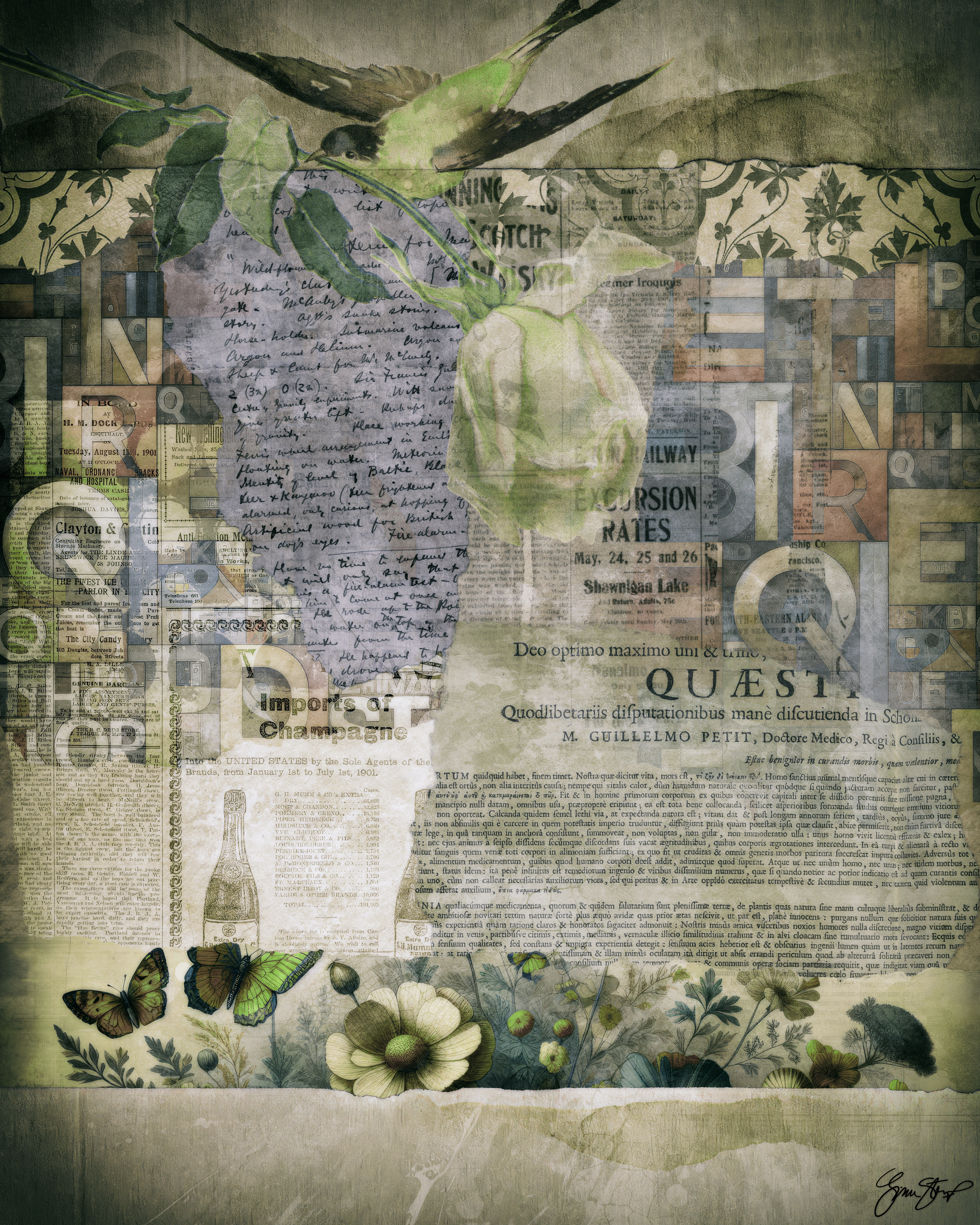 Between the Torn Edges by Gina Startup 