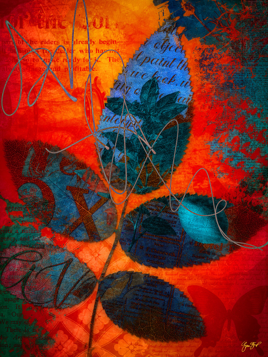 5 Leaf Collage by Gina Startup