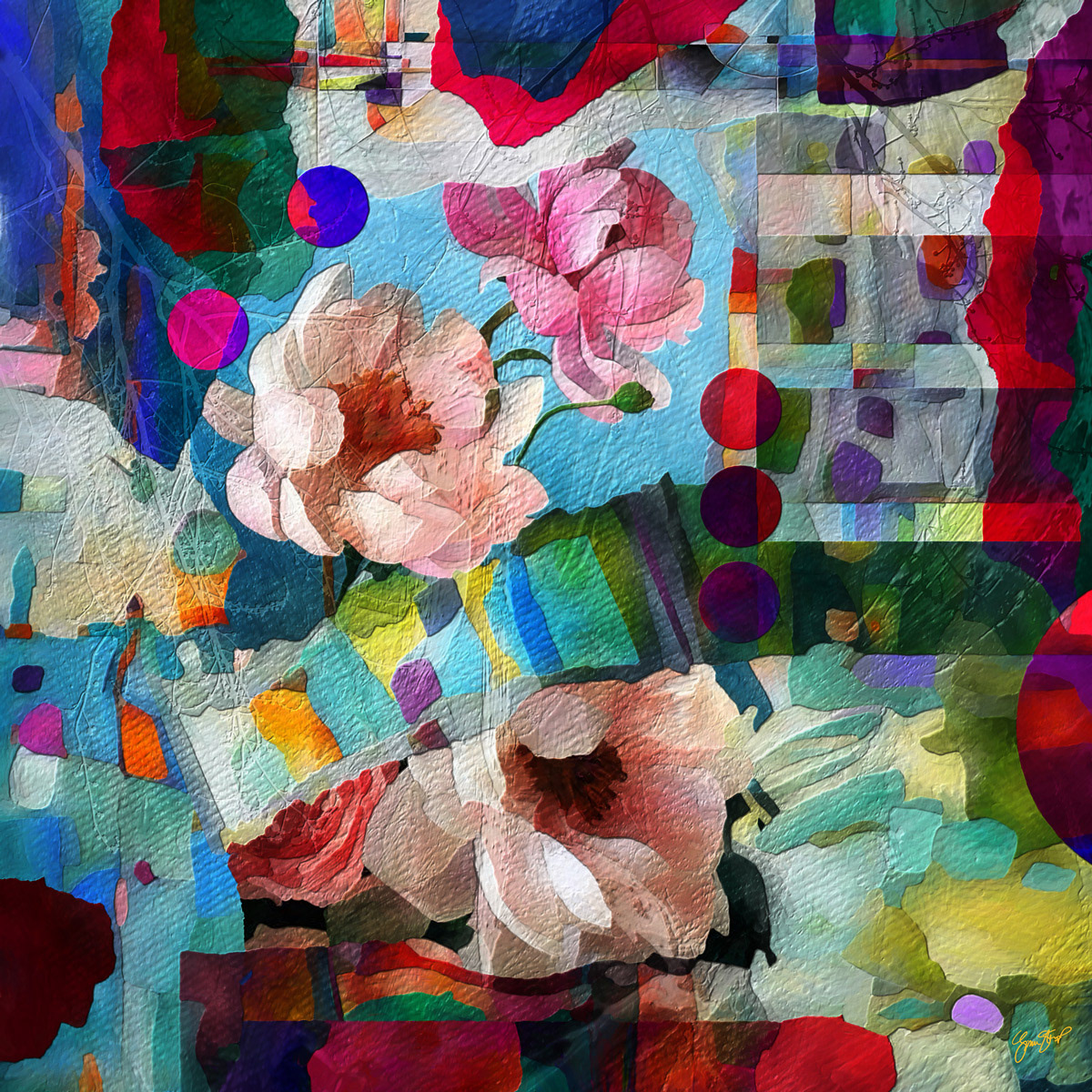 The Small Florist Shop by Gina Startup