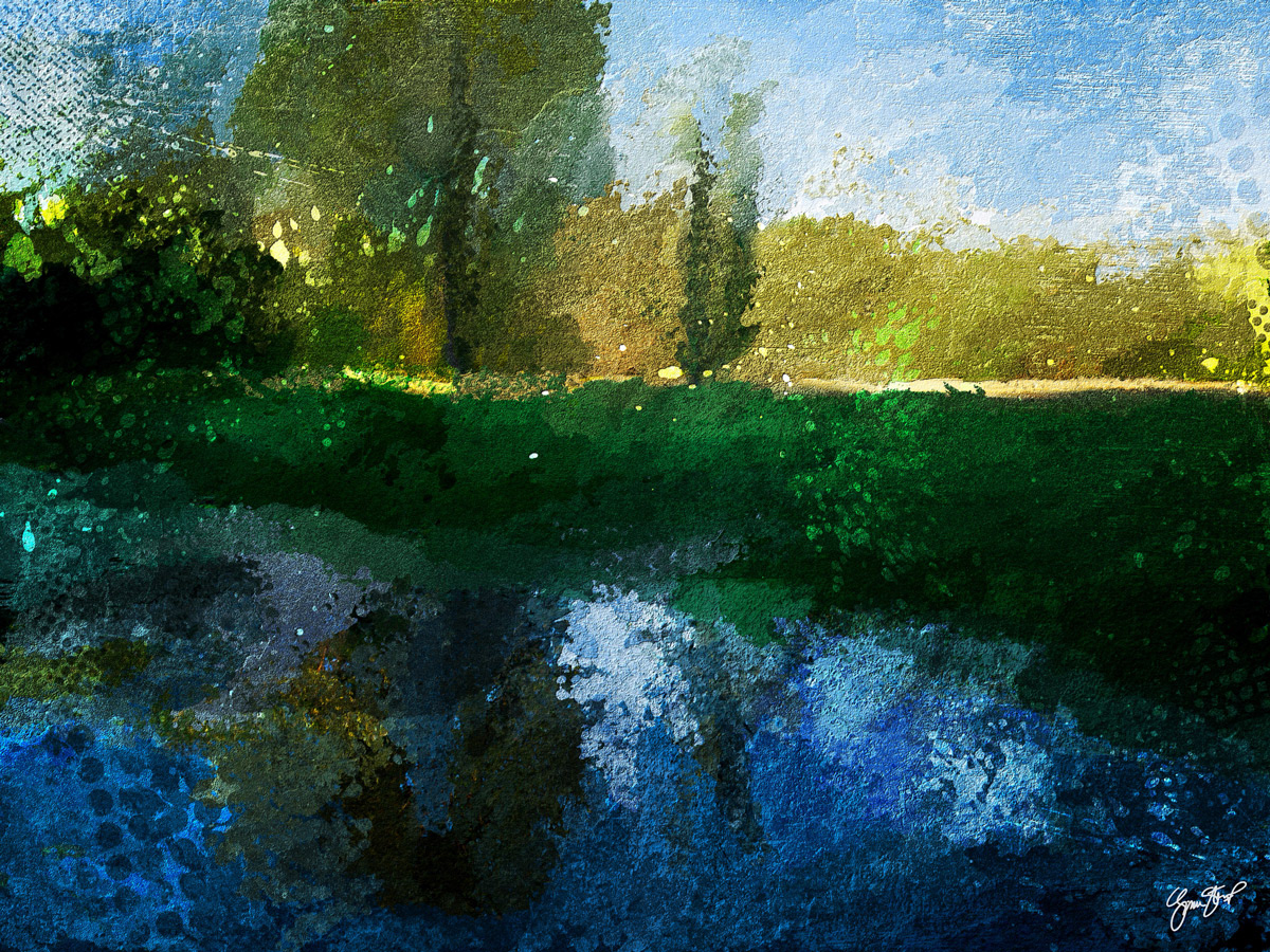 Water by the Appalachian Trail by Gina Startup