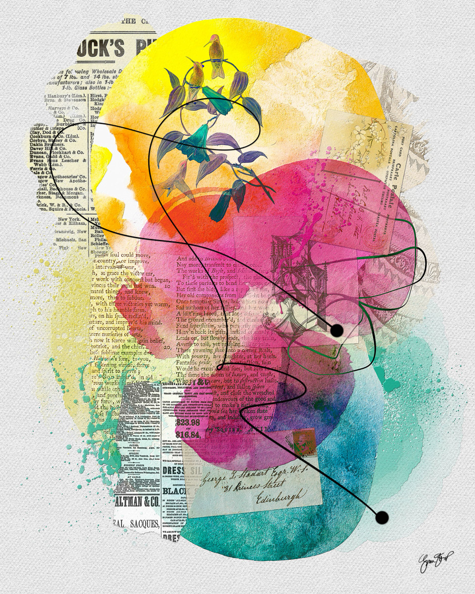 Missing Book in the Library by Gina Startup 