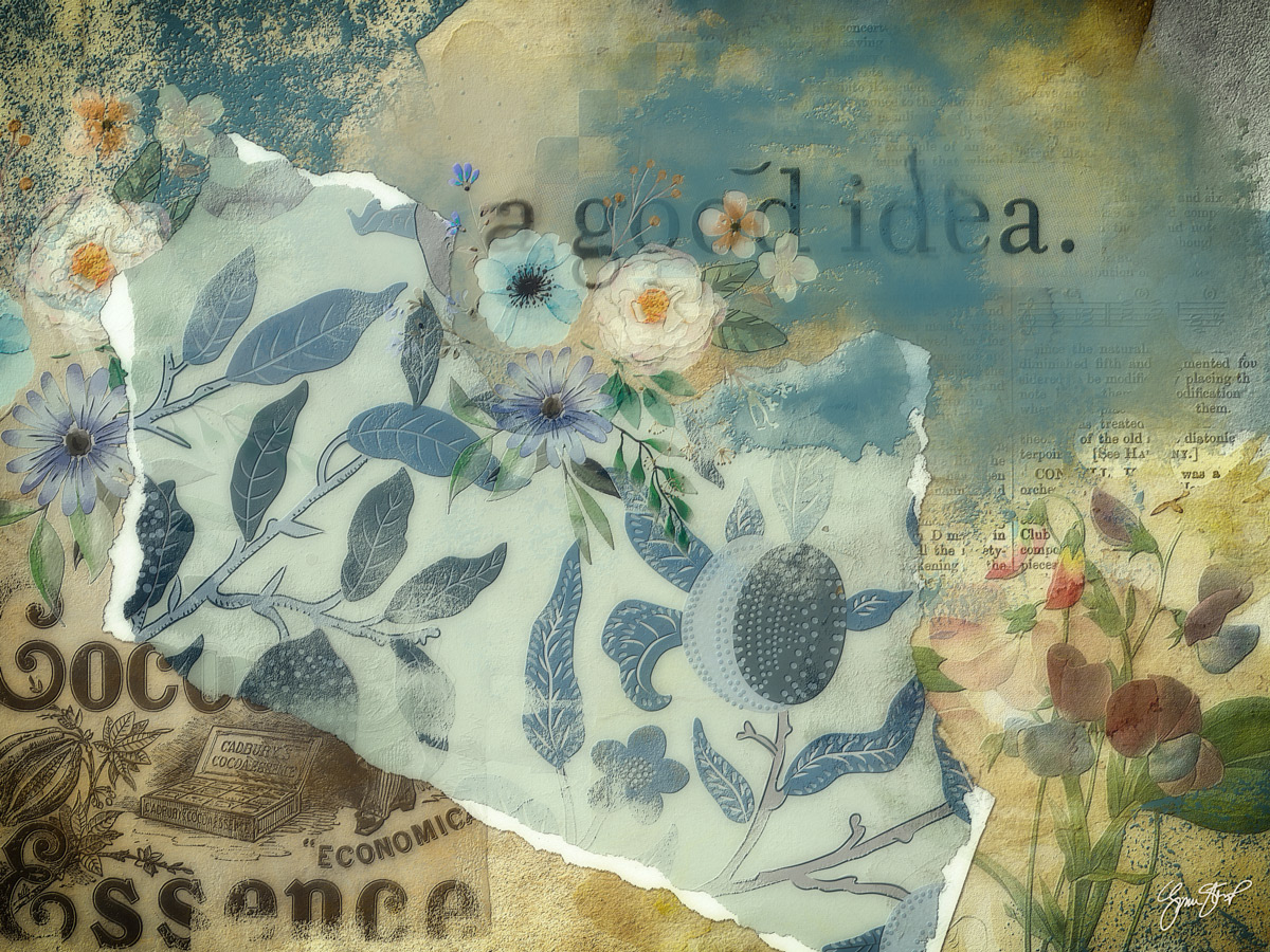 A Good Idea by Gina Startup 