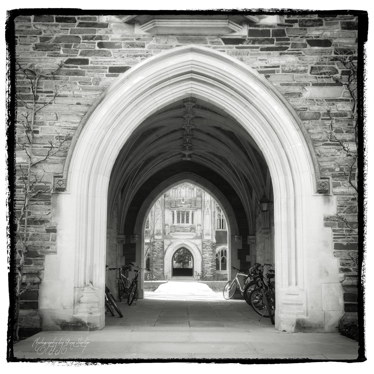 Photography by Gina Startup 