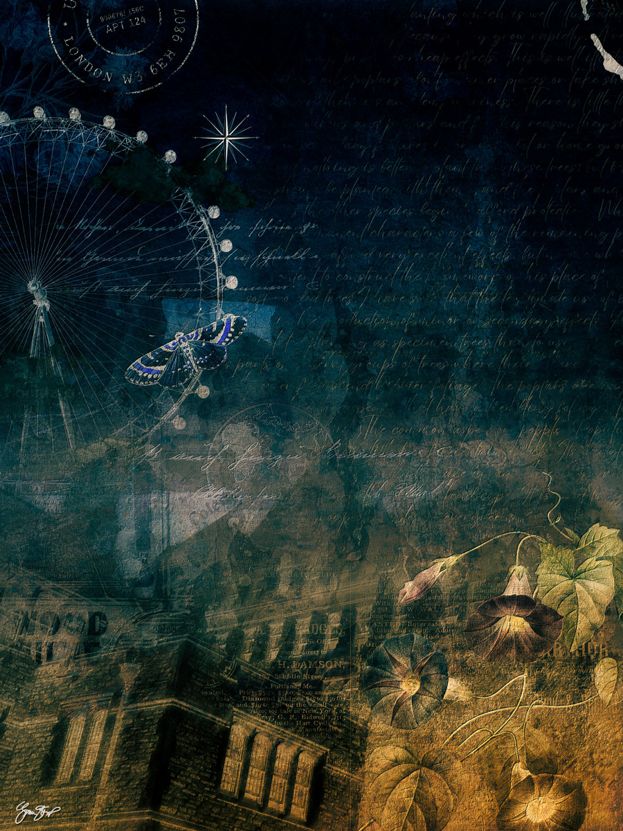 The University by Gina Startup 