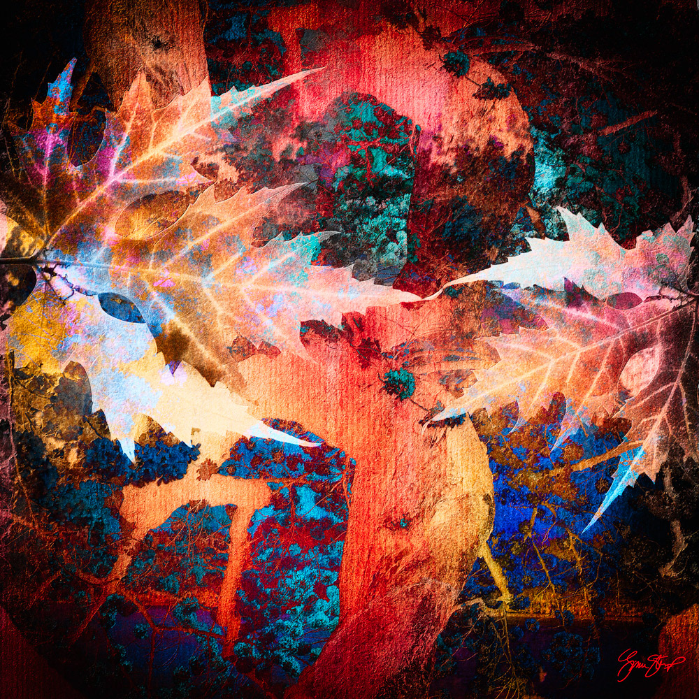 Mixed media collage art by Gina Startup