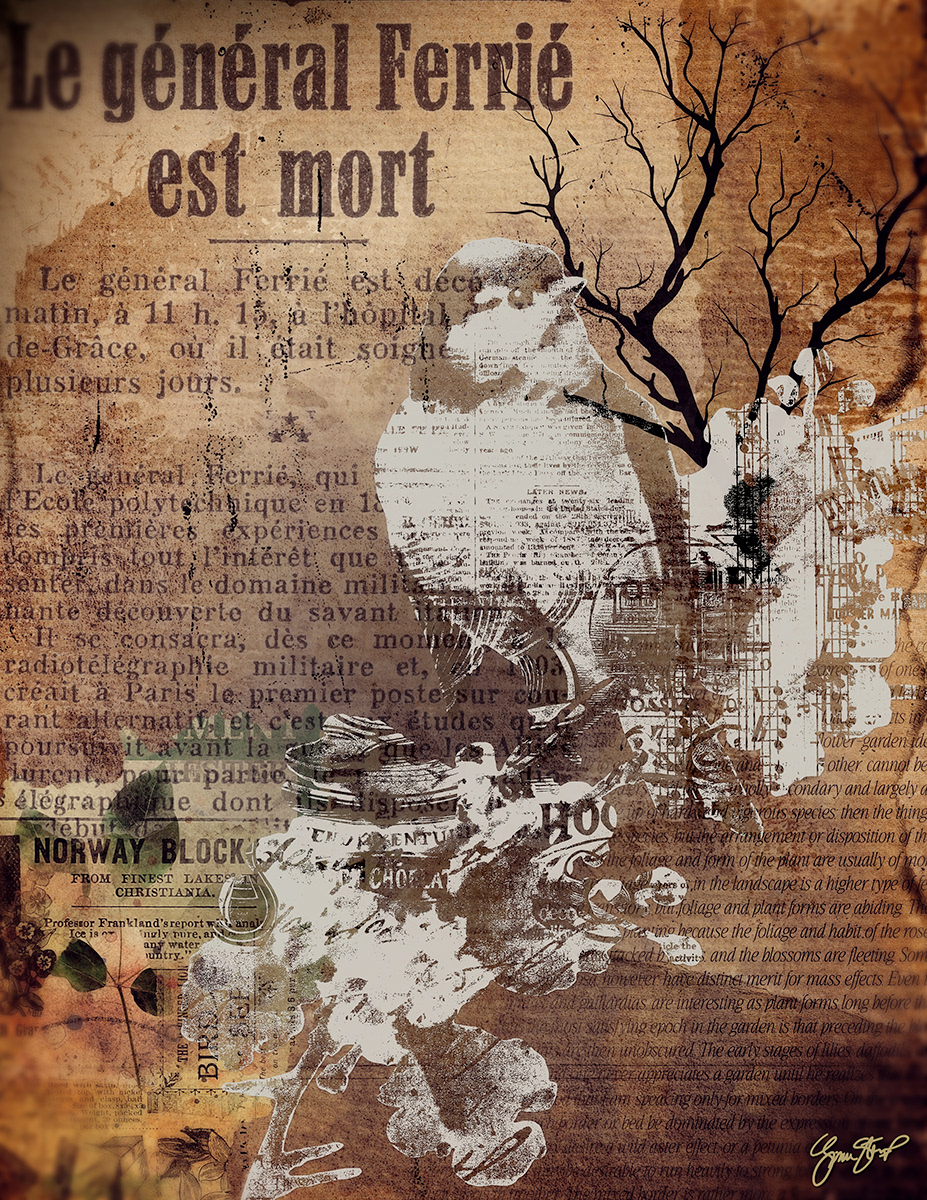 Snow Bird by Gina Startup 