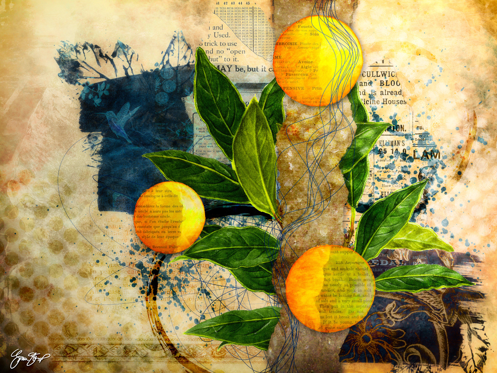 Coffee Under the Lemon Tree