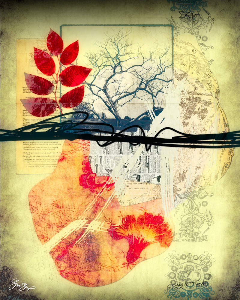 Collage art by Gina Startup