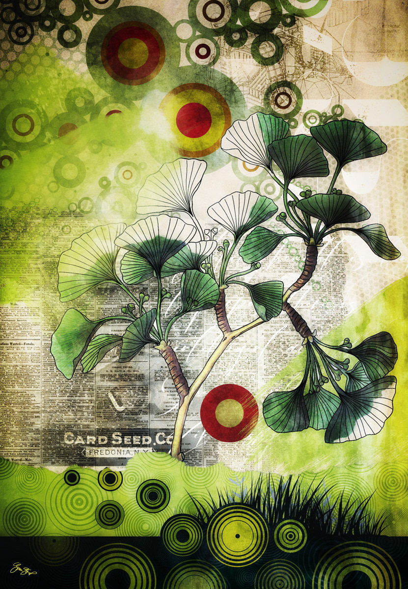 Ginkgo Collage by Gina Startup