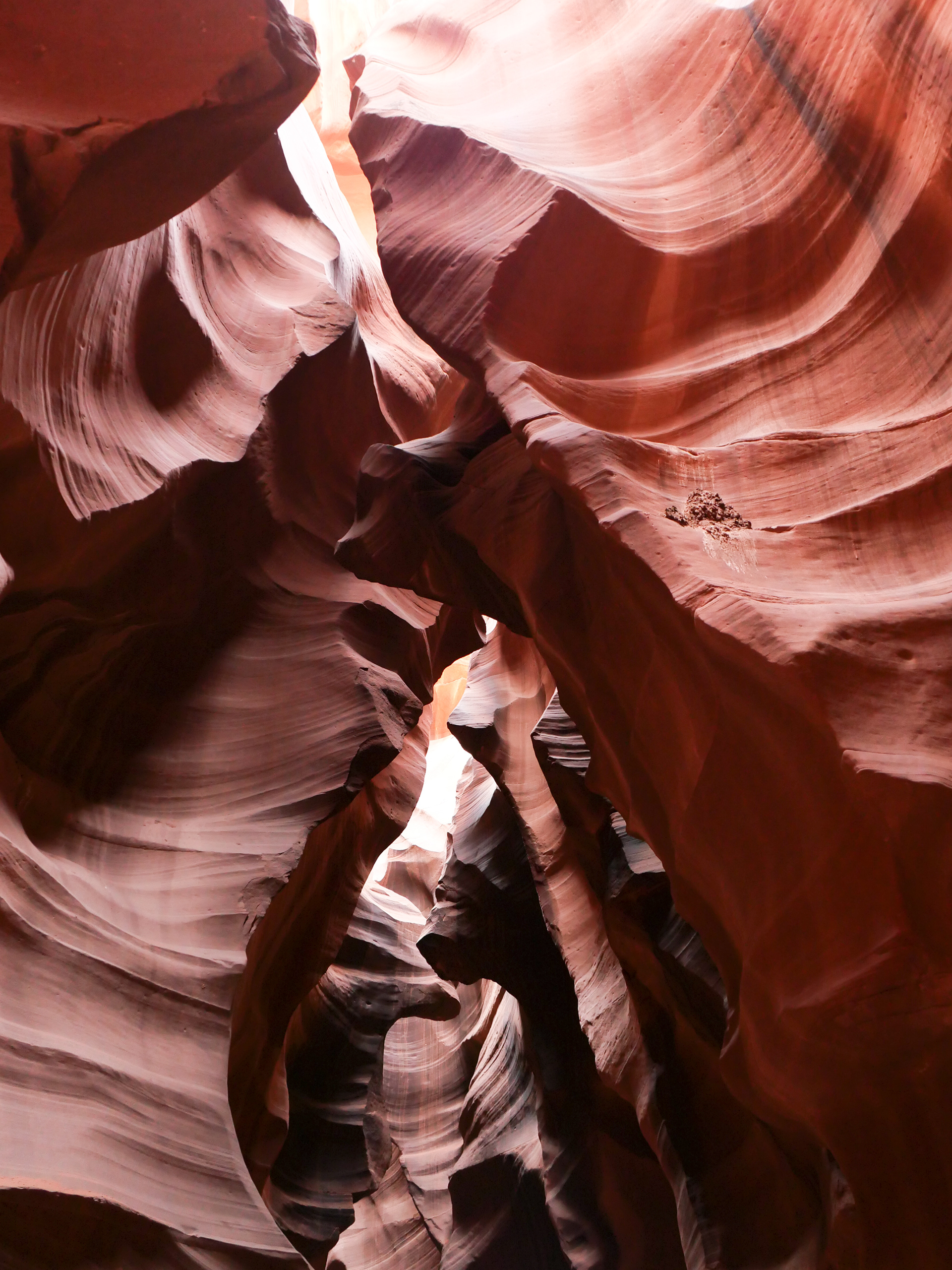 Antelope Canyon/2023