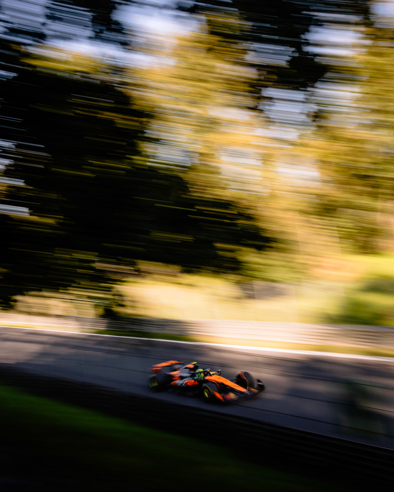04 NORRIS Lando (gbr), McLaren F1 Team MCL39, action during the 2025 Formula 1 Pirelli Grand Premio d’Italia, 2025 Italian Grand Prix, 16th round of the 2025 FIA Formula One World Championship from September 5 to 7, 2025 on the Autodromo Nazionale Monza, in Monza, Italy - Photo ALBERTO VIMERCATI DPPI / DPPI