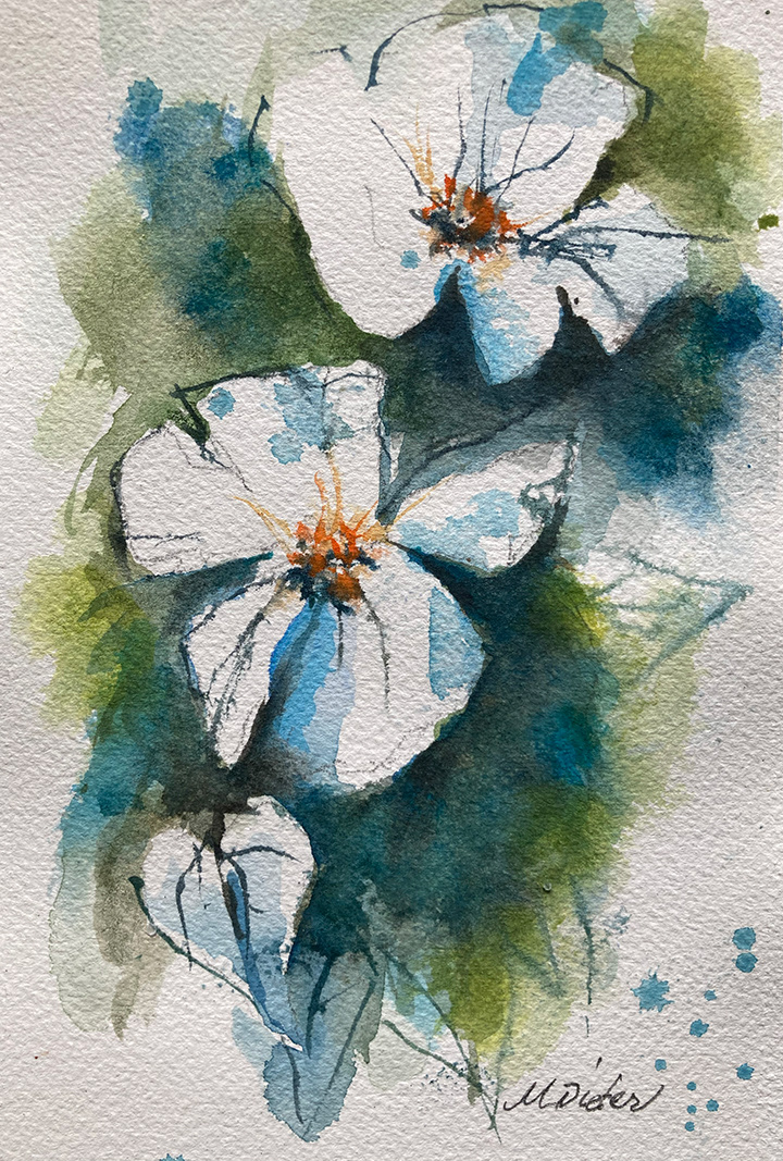 C19 – SOLD