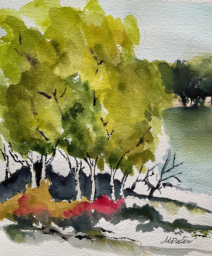 D60 – SOLD