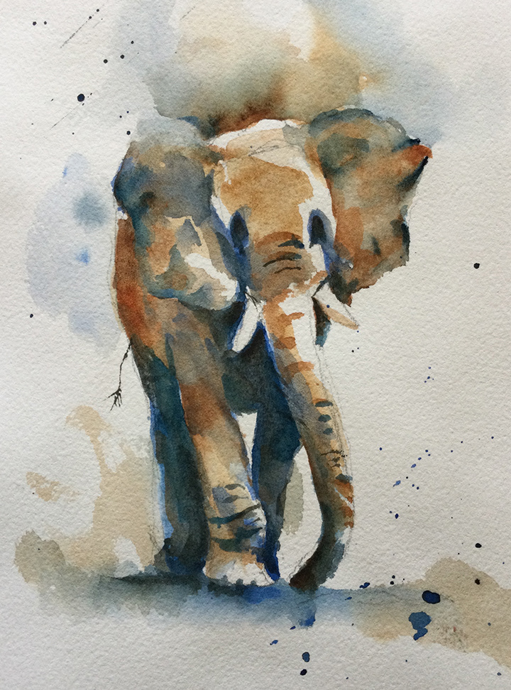 D41 – SOLD