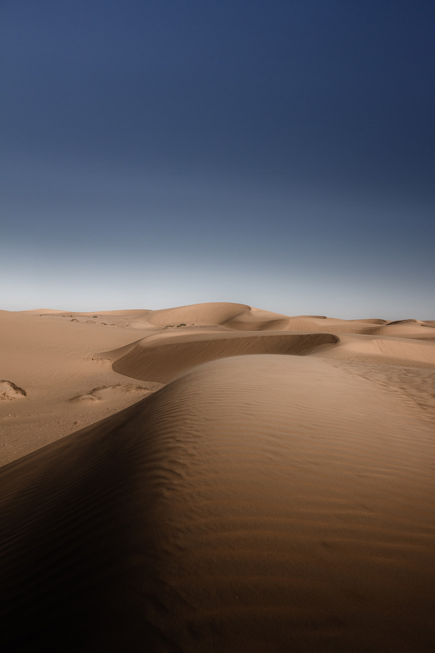 TIMIMOUN DESERT