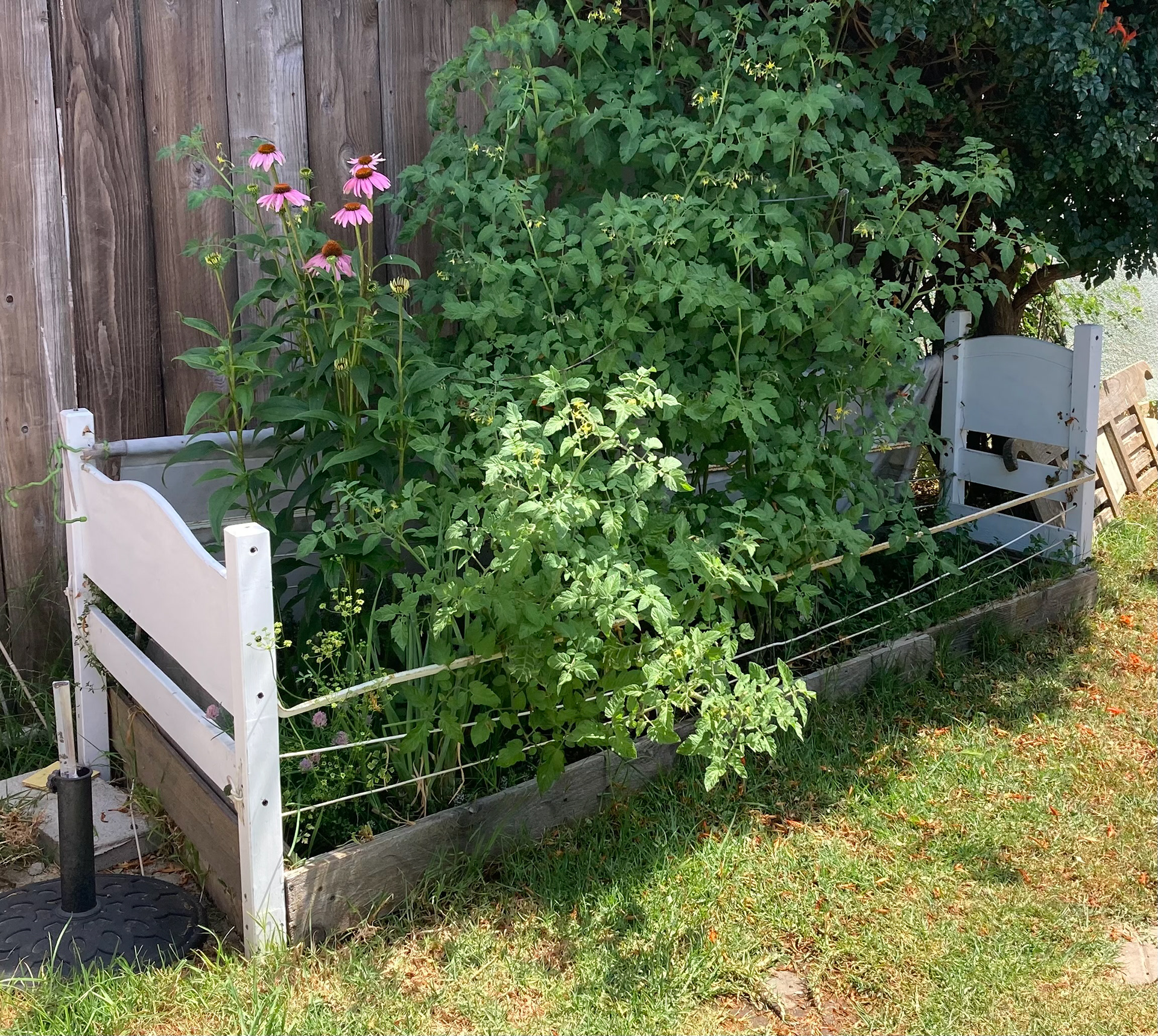 Bed garden.